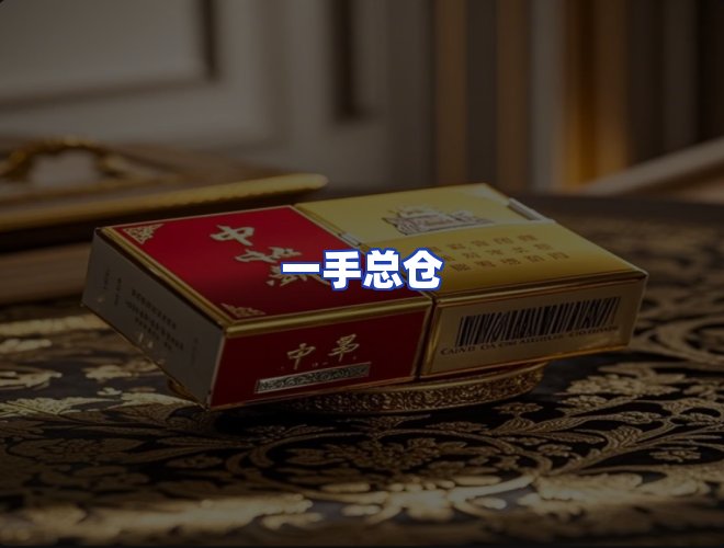 专业团队